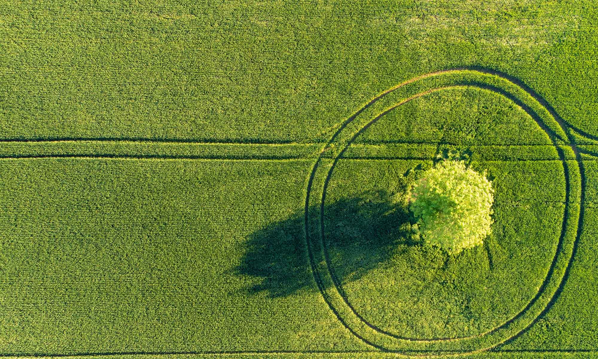 Pickering & Butters LLP Banner Image